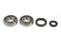 Kit Révision Vilebrequin Spy + Roulements Yz250 1988-1998